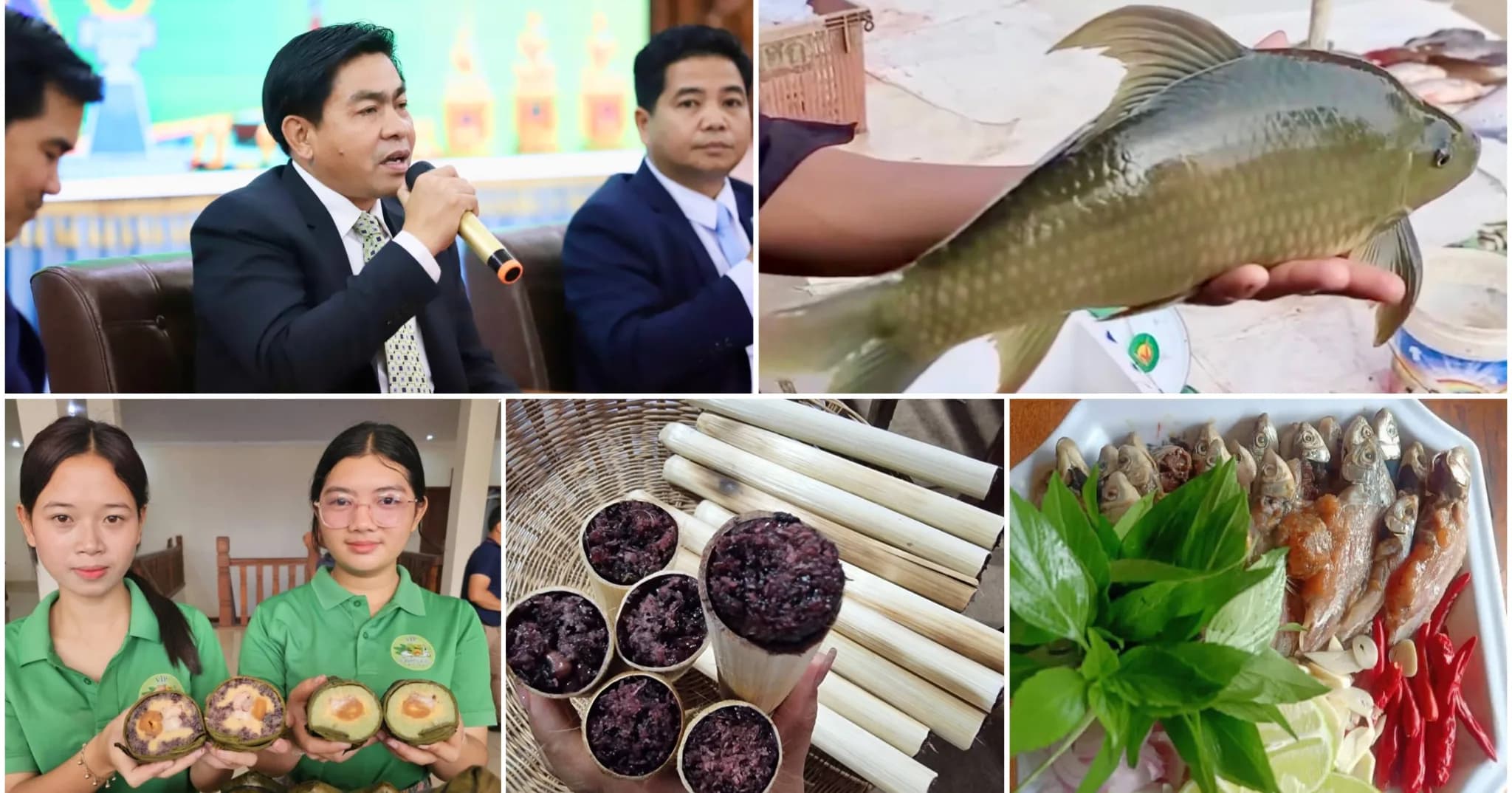 ស្ទឹងត្រែង បង្ហាញសក្តានុពលផលិតផលមូលដ្ឋាន និងអេកូទេសចរណ៍ ទាក់ទាញភ្ញៀវក្នុងរដូវកាលបៃតង ២០២៦